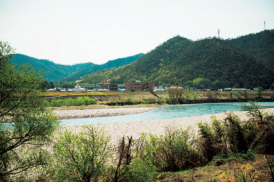 長良天然ワイン醸造 日本のワイナリー・データベース Vol.1