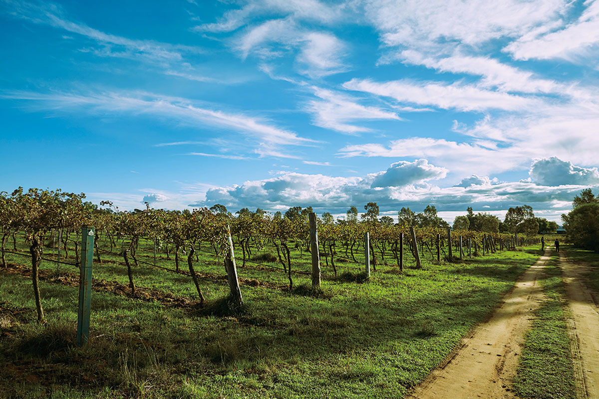 オーガニック・オーストラリア！