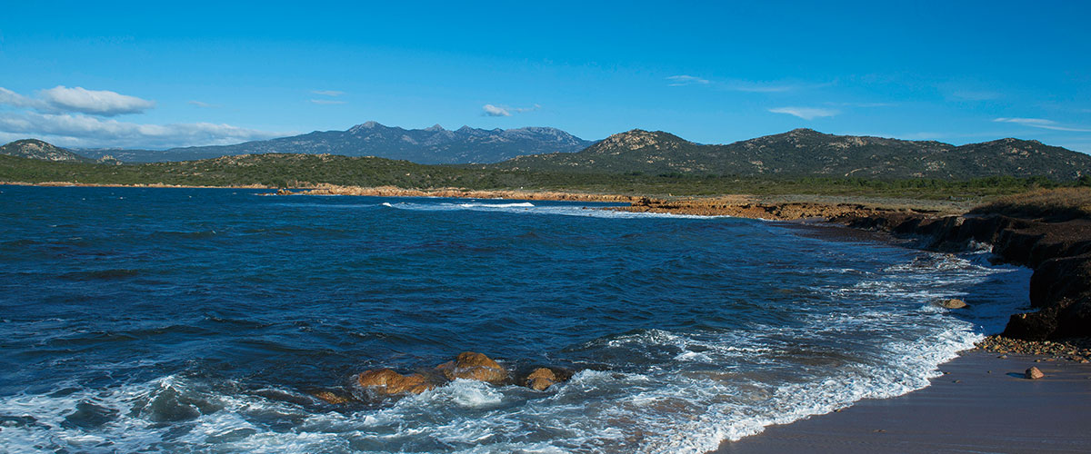 コルシカ・ワインの旅