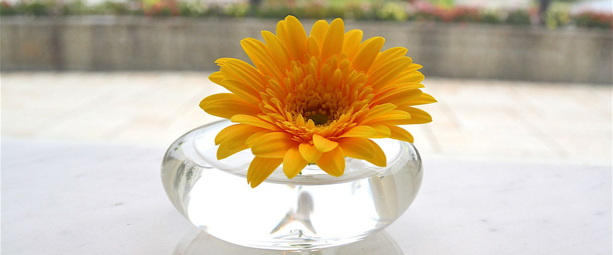 水のある風景。