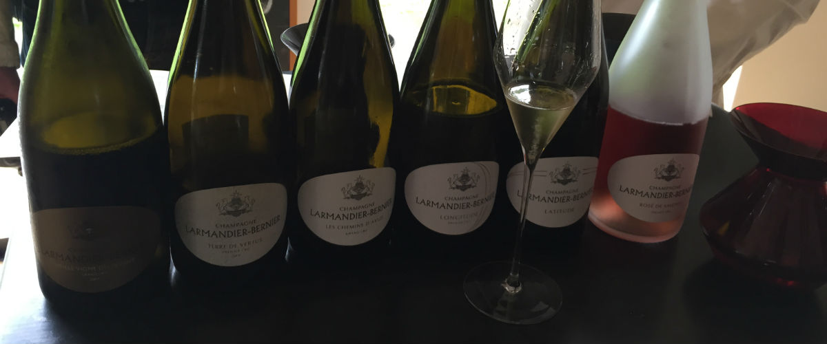 口づけした瞬間に、からだに清涼感が走った。