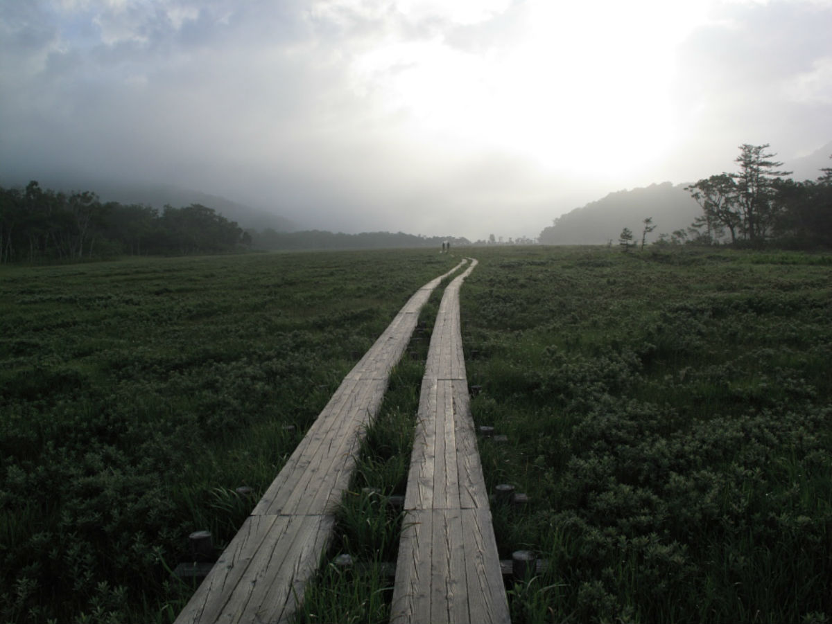 尾瀬にハイキングに行ってきました