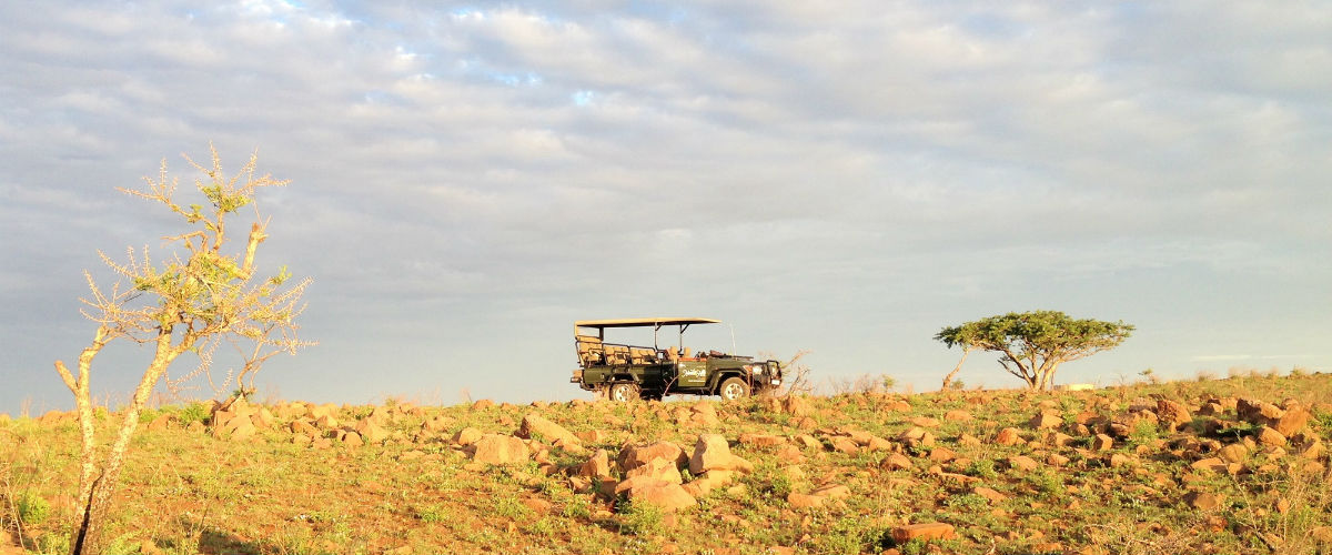 サファリ体験しないでどうする？！ part 2