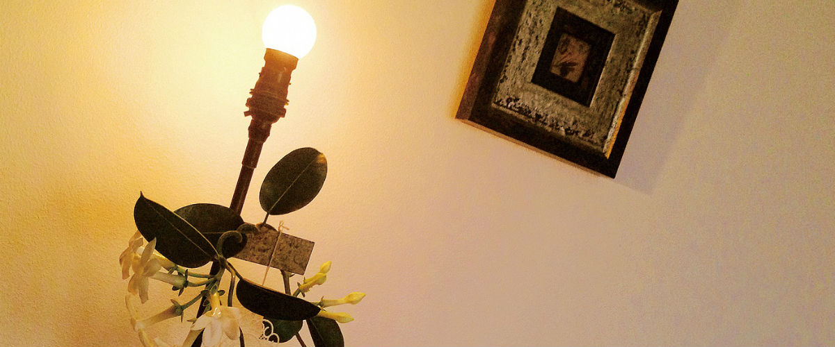 美しいものは必ずしも美しくなく、好きなものこそが美しい。