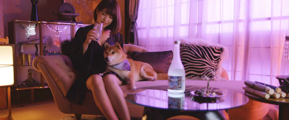 色っぽい“くノ一”とかわいい“柴犬”のかくれんぼバトル動画が話題