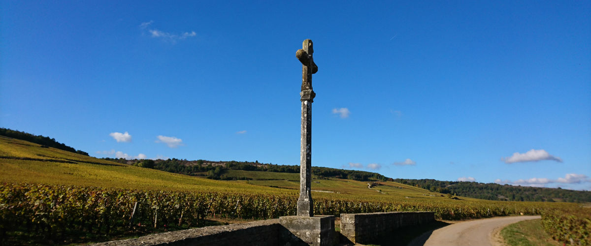 ロマネ・コンティ畑に感じたこと