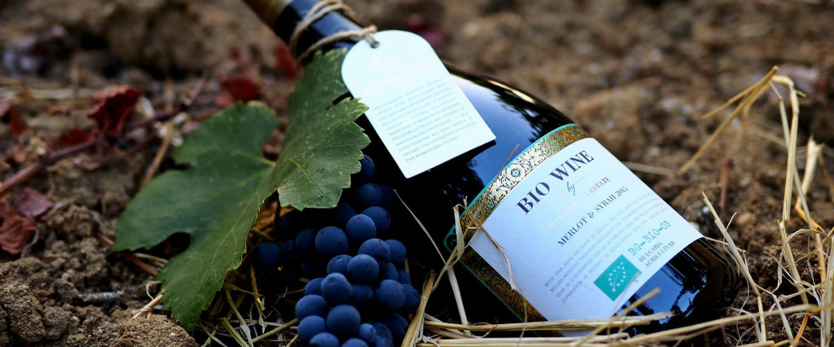 「カタルジーナ」新たなチャレンジへ。