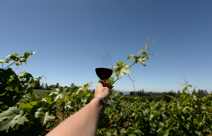 ようこそナパ・ワンダーランドへ