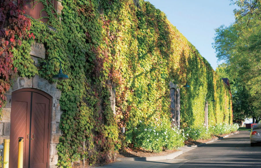 ボーリューヴィンヤード