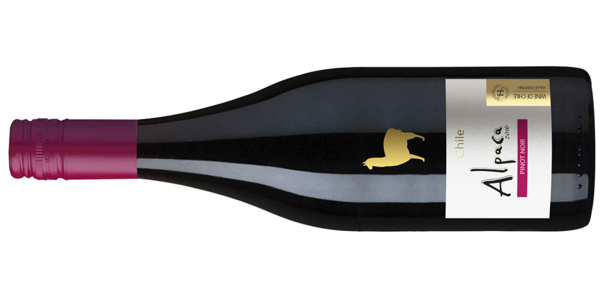 「アルパカ」のピノ・ノワール新登場