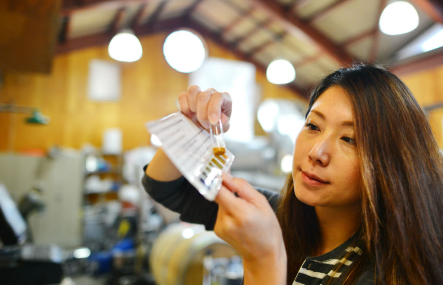 残糖を調べるSaoriさん