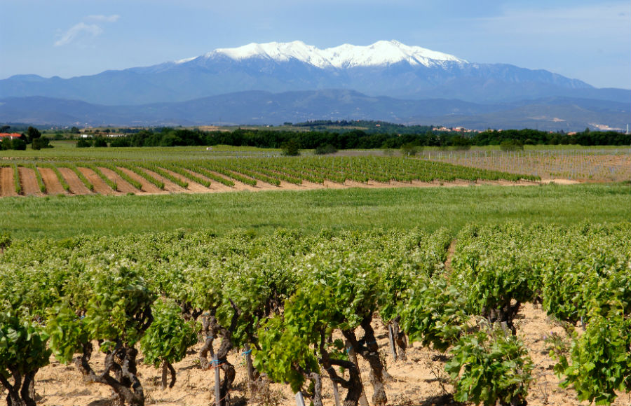 ルーションの風景