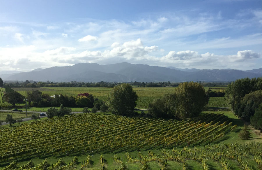 ニュージーランド・ワイングロワーズによるソムリエ・スカラシップ2018 募集のお知らせ