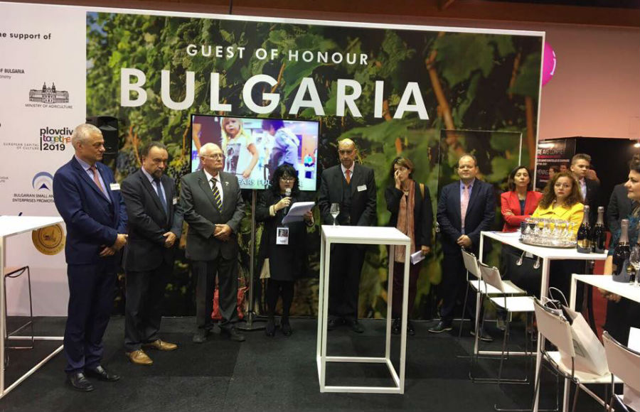 ブリュッセル　メガヴィニ