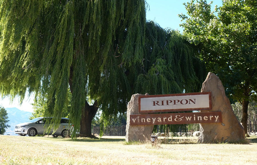 美しいワイナリー、リッポンへ