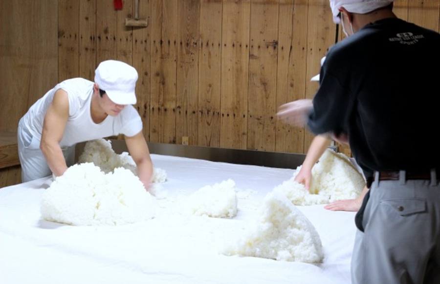 醸造酒「日本酒」と「ワイン」。その造りの違いは？