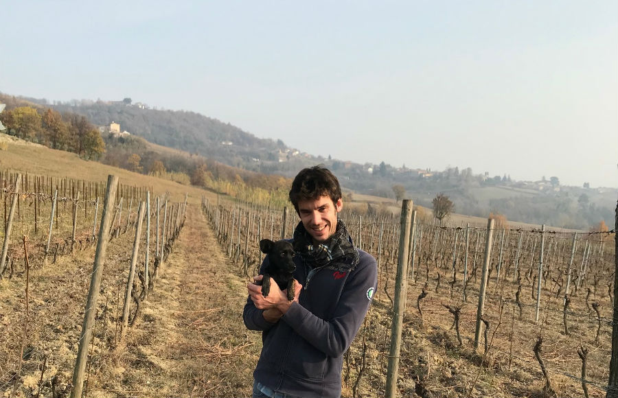 ピエモンテのブドウ畑