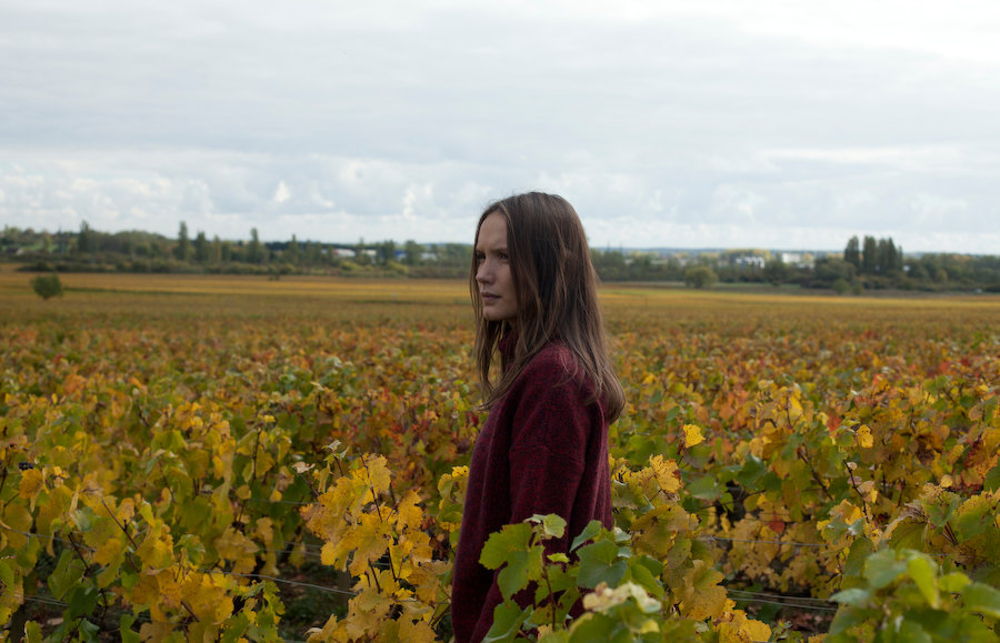 おかえり、ブルゴーニュへ