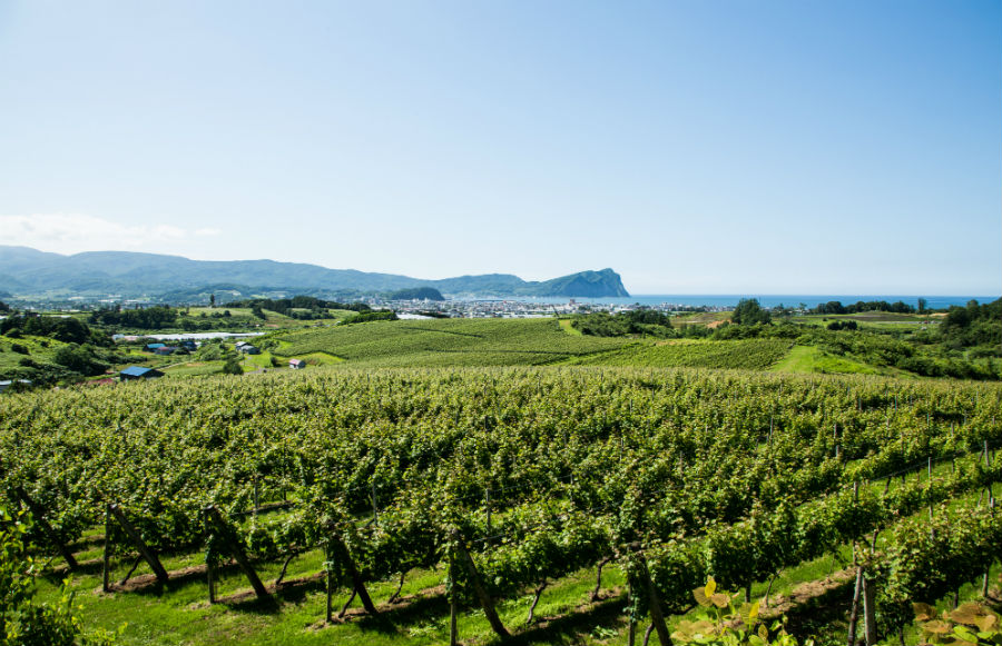 北海道ワインツーリズム・ガイド〜余市・仁木の巻 その１〜