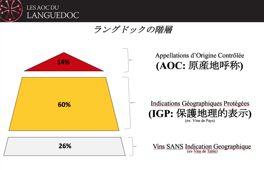 ラングドックのAOCワインとシュッド・ド・フランスのIGPワイン