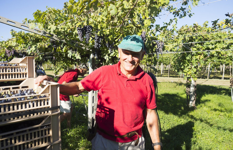 ヴィーノ・ハヤシがイタリアの産地を巡るワイン付きマガジン『月刊DOCG』を2019年3月創刊！