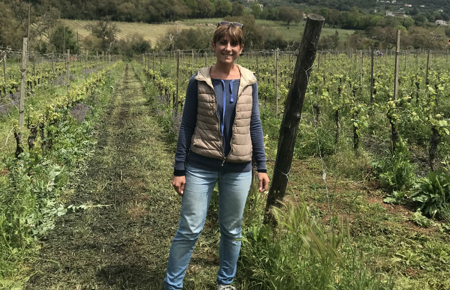 ブドウ畑と醸造家Chiara