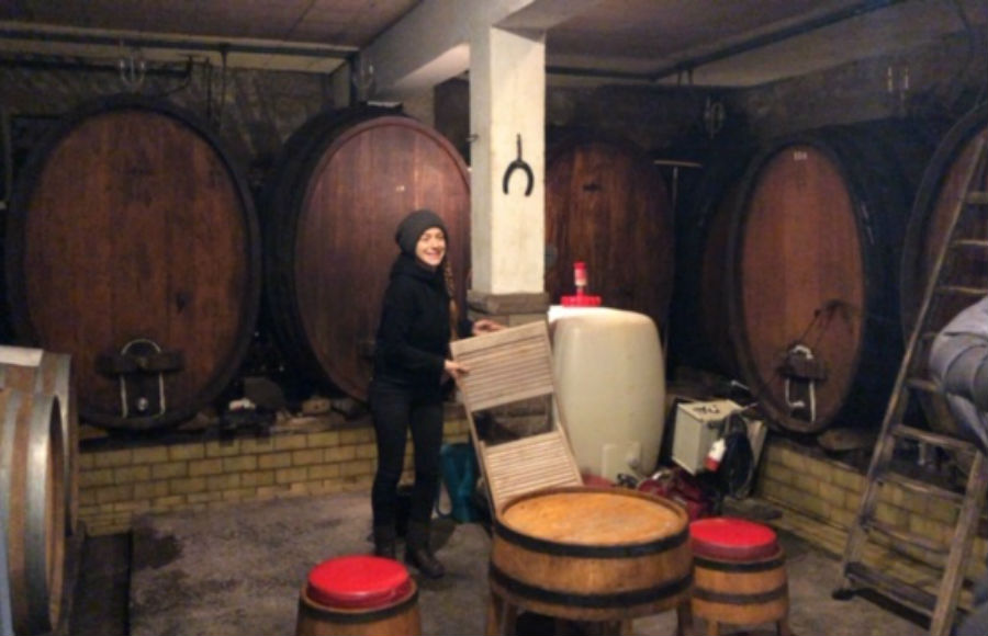 木樽に囲まれてテイスティング