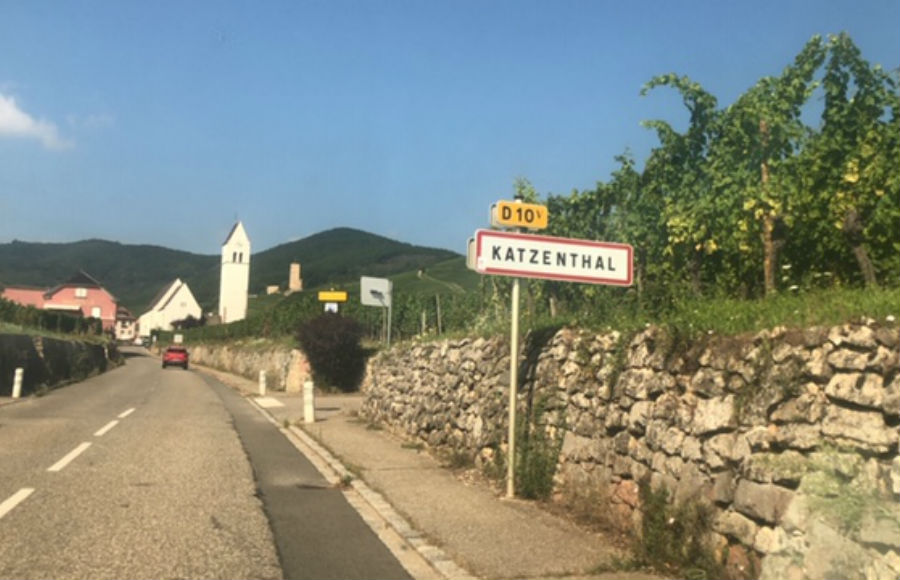 アルザスワイン畑