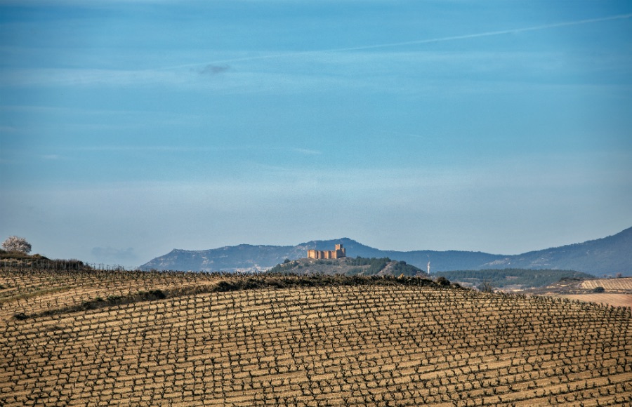 今こそリオハワイン通になろう