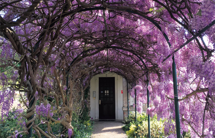 Covid 19はフランスワイン市場の何を変えるか