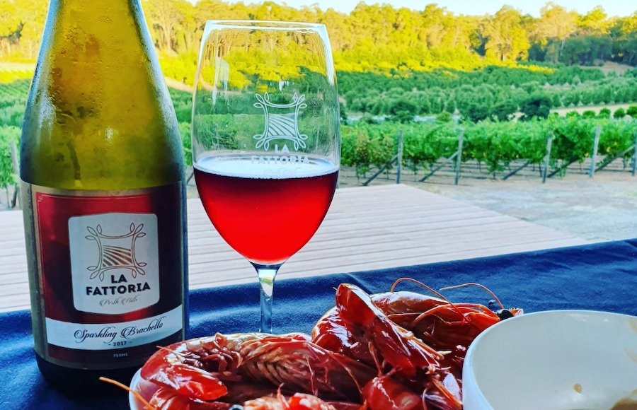 Aussie Way～豪に入れば豪に従う～