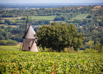 村名アペラシオンの底力が炸裂、サントネイの赤にハマれ！