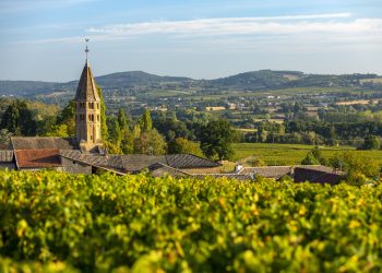 プイィ・ロシェ、プイィ・ヴァンゼル、プイィ・フュイッセの白ワインを発見！