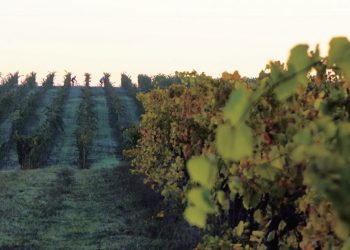 オクシタニーに行こう！