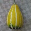 辻真理子
