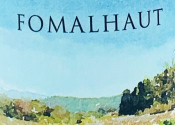 ジャケ買いしていい日本酒