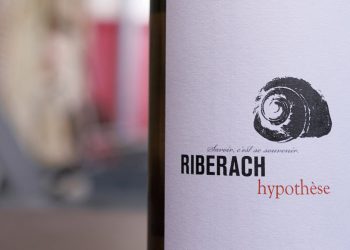 ビオワインと美食の後はタンクの中でワインの夢を。小さな村の上宿