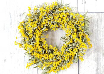 幸せの黄色い春