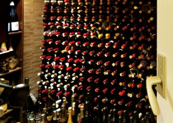 WINE WHAT 2021年5月号（No.39）はインドアワインを楽しむ！