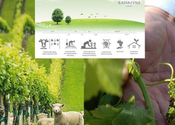 「ノーマンズランド」のビオワイン・カリスト