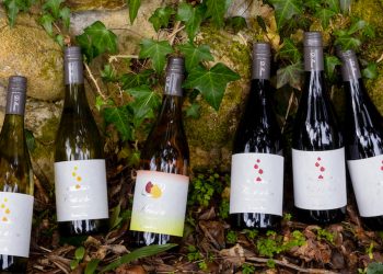 富⼭県南砺市⽴野原地区の「ドメーヌ・ボー」が初のワインを発売