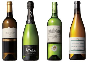 紫貴あき と 柳 忠之の新商品ワイン ブラインド・テイスティング 2021年4月