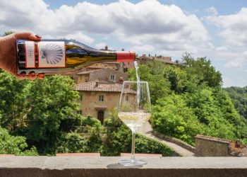 いま飲みたいイタリアワイン10選