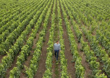 ロジャー・フェデラーの素朴な疑問