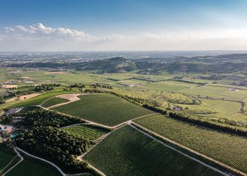 Pasqua ワイナリー訪問 in イタリア