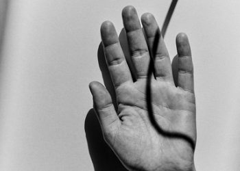 銀座メゾンエルメス フォーラムにて『転移のすがた』開催