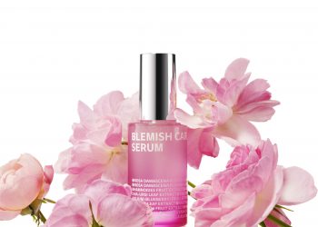 自然派韓国コスメ「ISOI」が日本正規発売をスタート