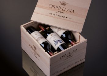 オルネッライア 2019年ヴィンテージをお披露目